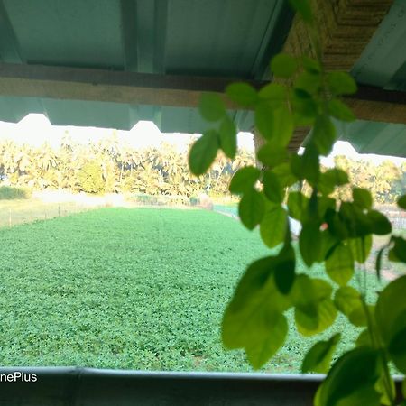Ocean Sparrow Beach Stay Gokarna  Room photo