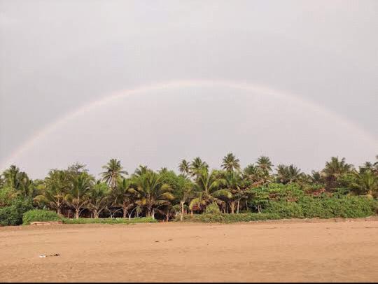 Ocean Sparrow Beach Stay Gokarna  Room photo